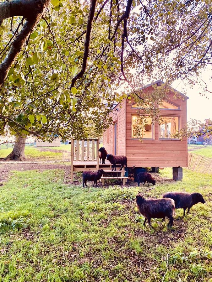 Jolie Tiny House Sous Les Grands Arbres Villa Cholet Ngoại thất bức ảnh