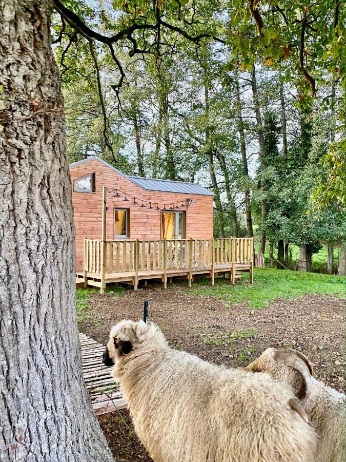 Jolie Tiny House Sous Les Grands Arbres Villa Cholet Ngoại thất bức ảnh