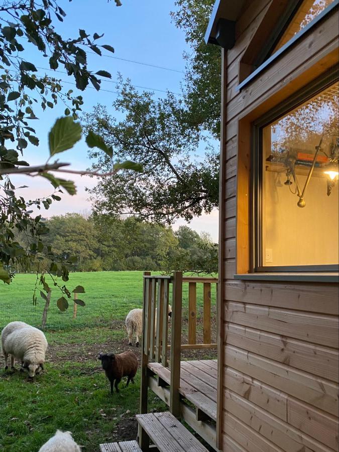 Jolie Tiny House Sous Les Grands Arbres Villa Cholet Ngoại thất bức ảnh