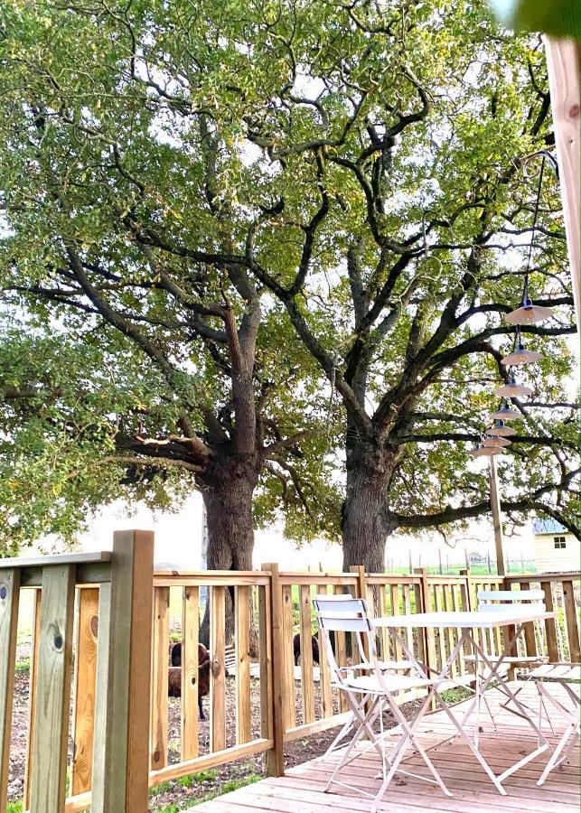 Jolie Tiny House Sous Les Grands Arbres Villa Cholet Ngoại thất bức ảnh